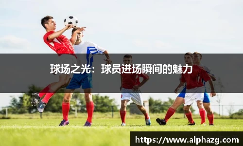 星空·综合体育官方网站